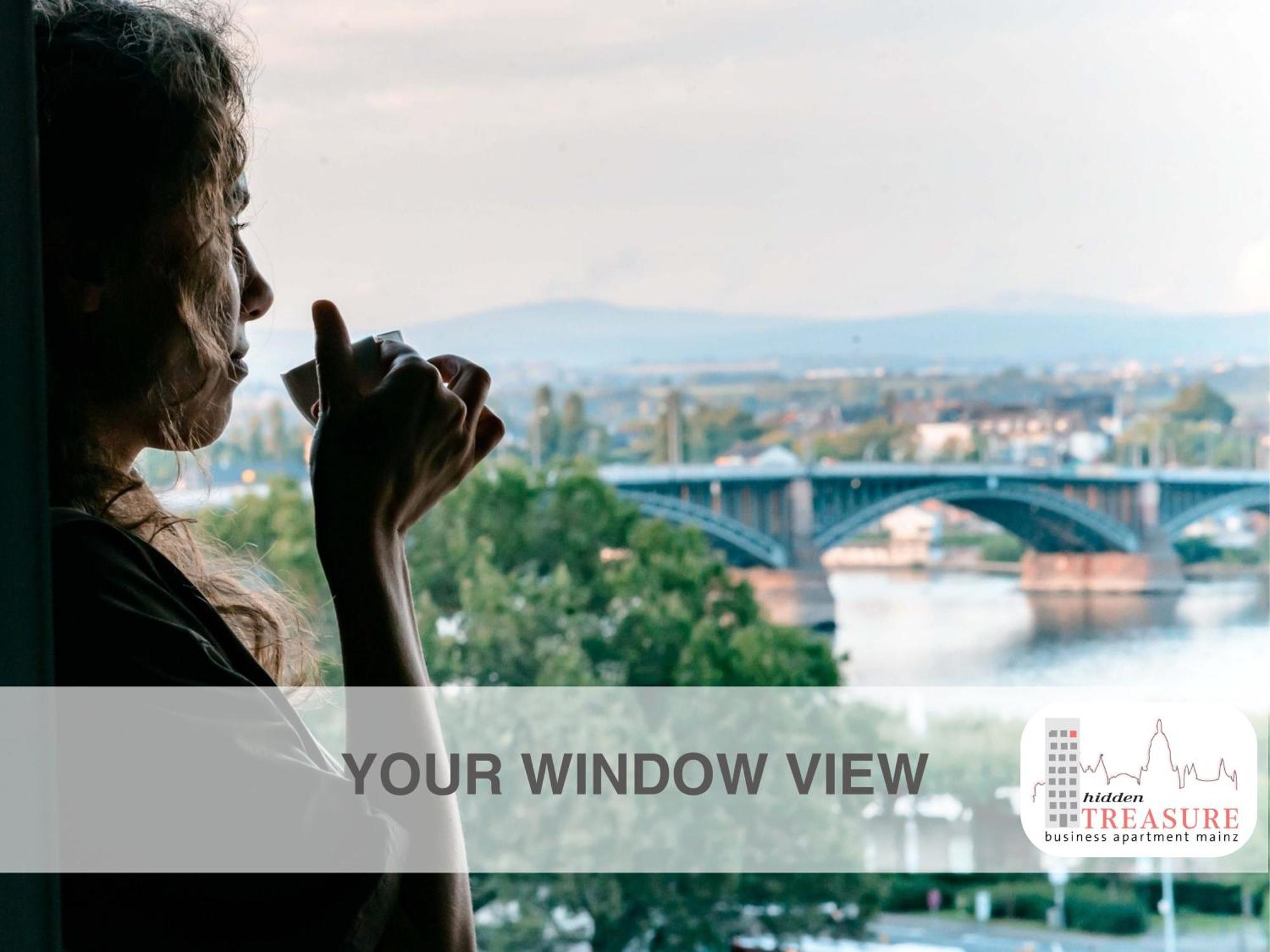 Hidden Treasure Business Apartment Mainz - Fantastic Rhine View In Center Of Mainz Old Town Eksteriør bilde