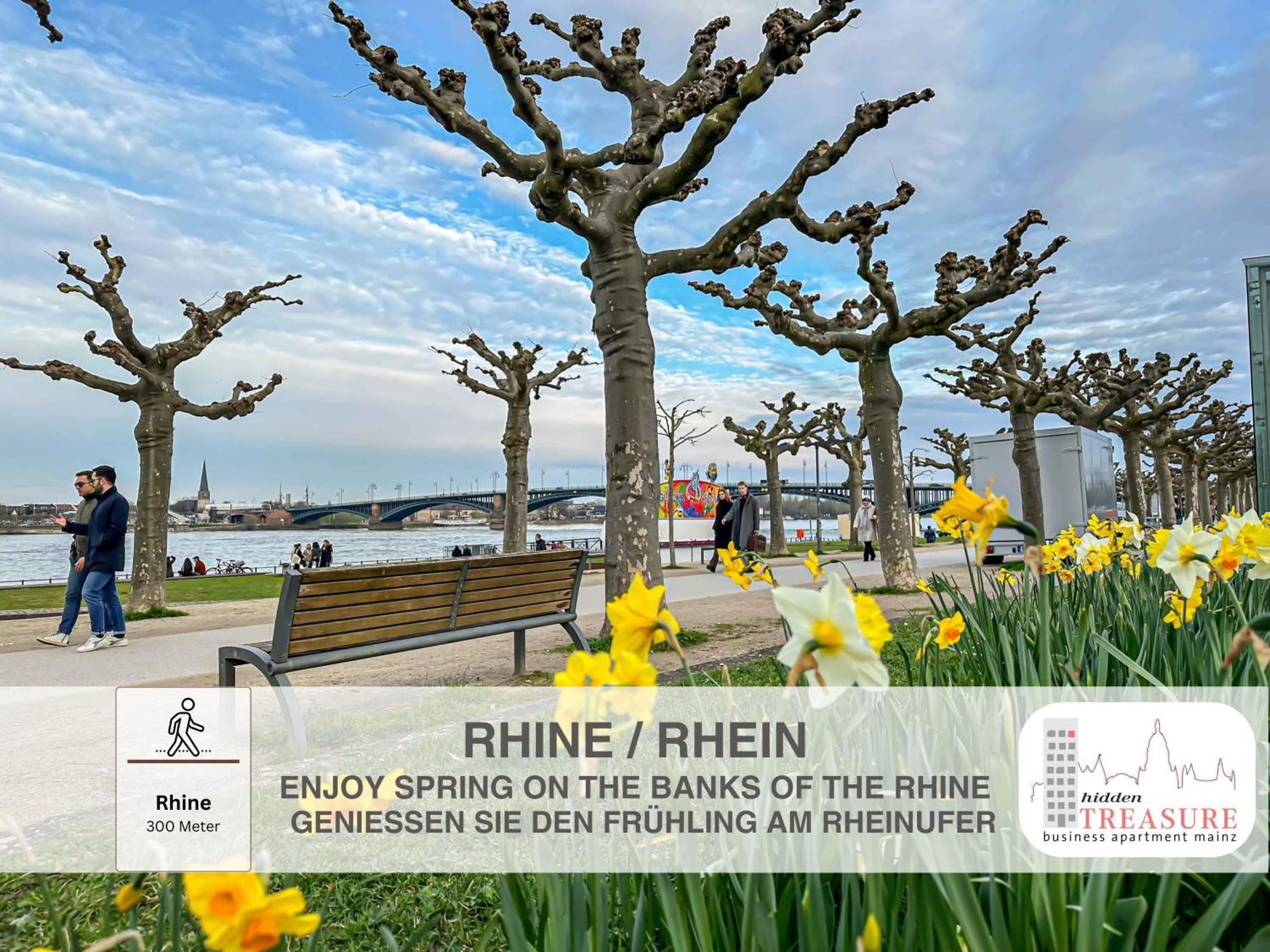 Hidden Treasure Business Apartment Mainz - Fantastic Rhine View In Center Of Mainz Old Town Eksteriør bilde