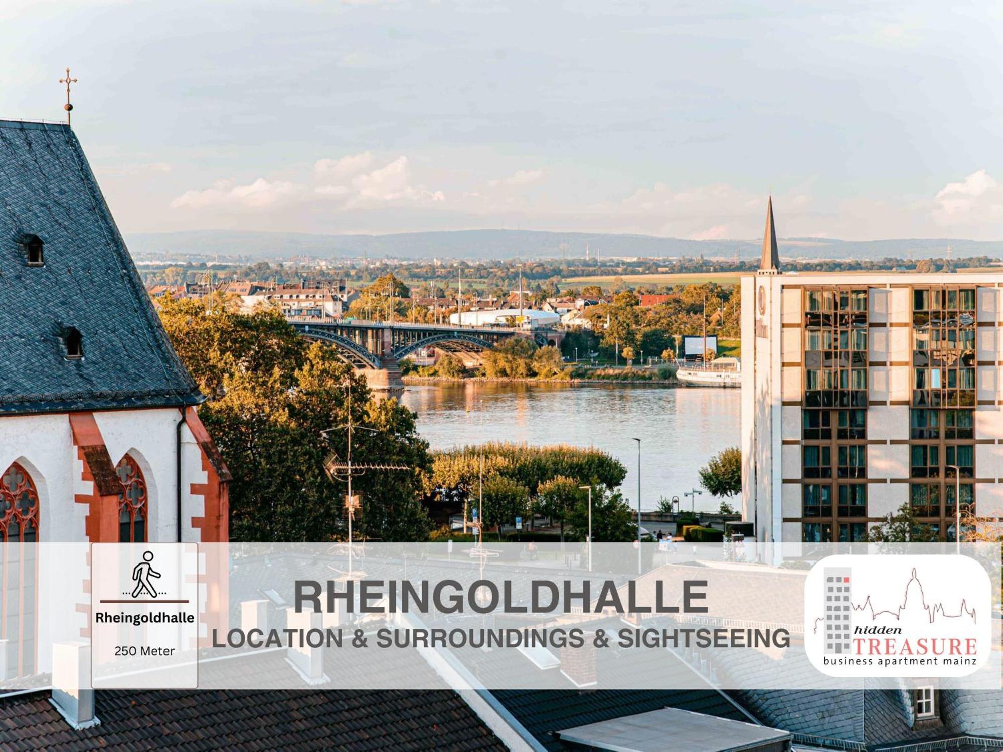 Hidden Treasure Business Apartment Mainz - Fantastic Rhine View In Center Of Mainz Old Town Eksteriør bilde