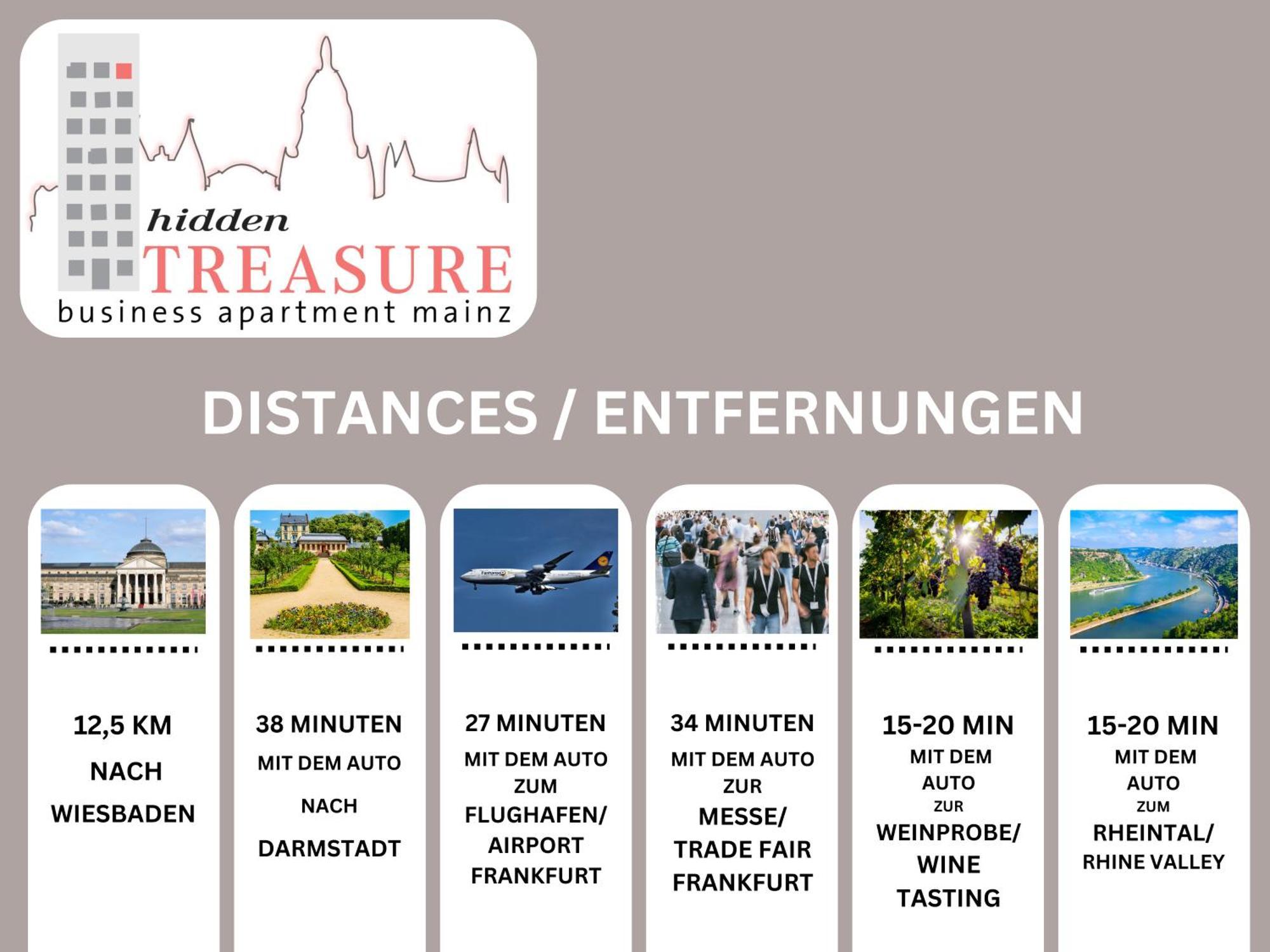Hidden Treasure Business Apartment Mainz - Fantastic Rhine View In Center Of Mainz Old Town Eksteriør bilde