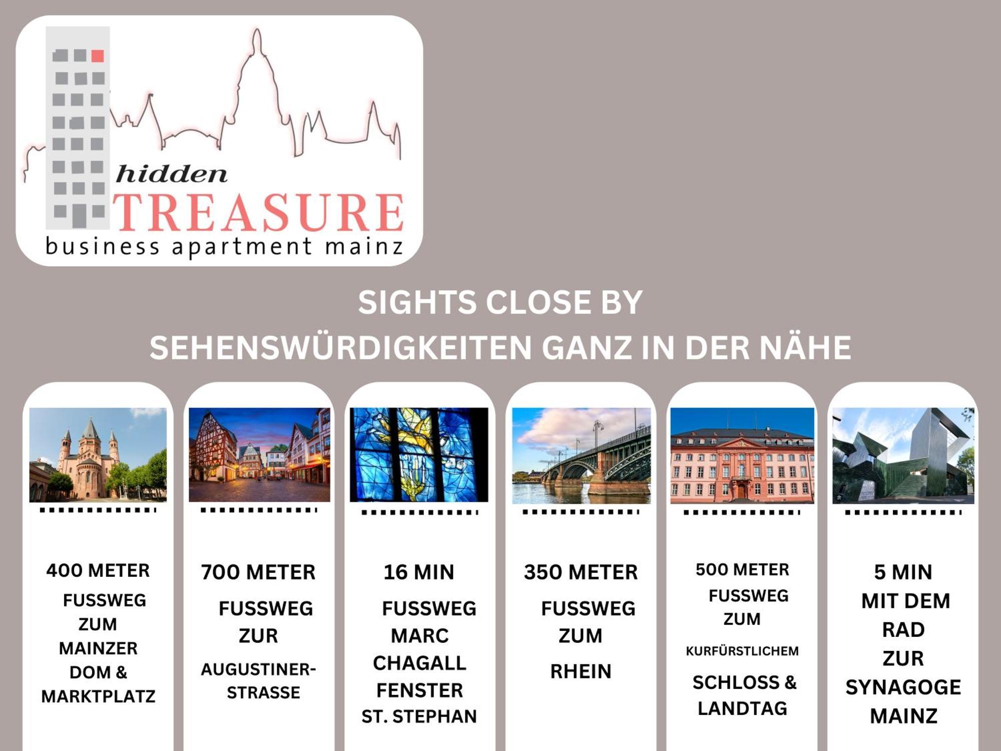 Hidden Treasure Business Apartment Mainz - Fantastic Rhine View In Center Of Mainz Old Town Eksteriør bilde